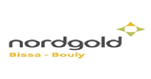 Logo_nordgold_1